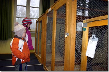2009 - Lokalschau V (14.11.09)