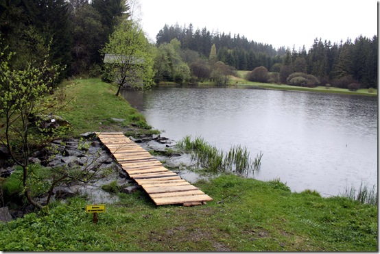 2010 - Brücke Schwarzer Teich I (19.05.10)