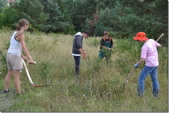 2013 - Landschaftspflege Schloßberg V (13.08.13)