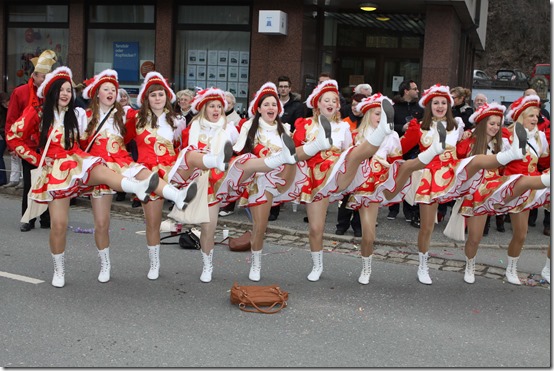 2014 - Faschingsumzug Wallenfels XIII (04.03.14)