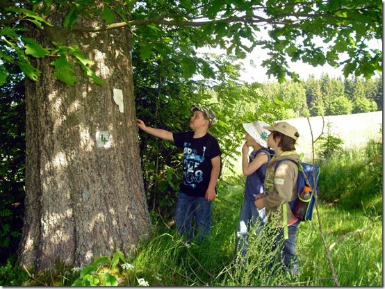 2014 - Naturwanderung Schule I (14.10.14)
