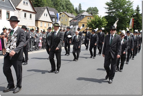 2015 - Schützenumzug Ludwigsstadt XV (19.07.15)